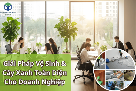 Đông Dương Star – Giải Pháp Vệ Sinh & Cây Xanh Toàn Diện Cho Doanh Nghiệp