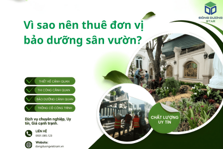 Vì sao nên thuê đơn vị bảo dưỡng sân vườn? | Đông Dương Star