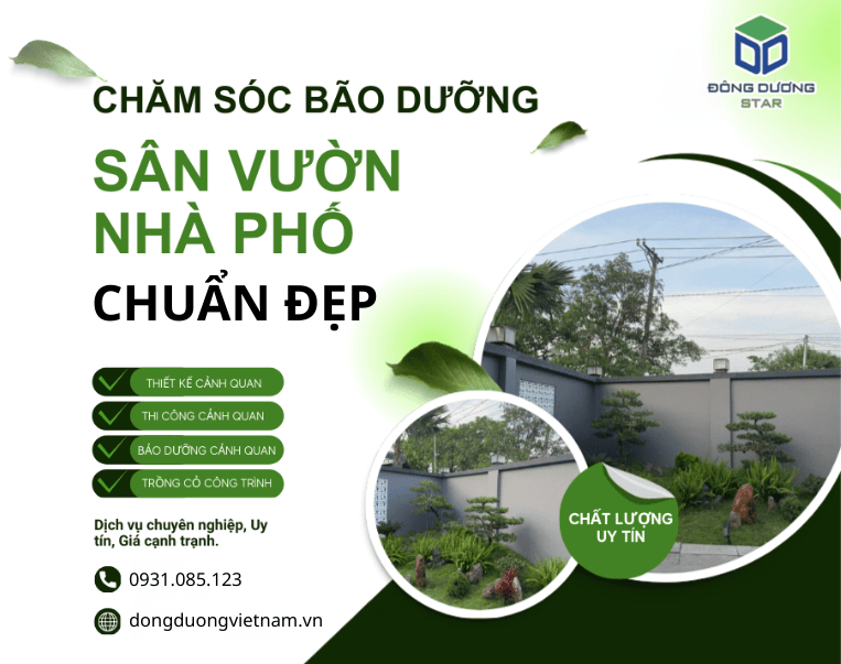 Dịch vụ bảo dưỡng sân vườn