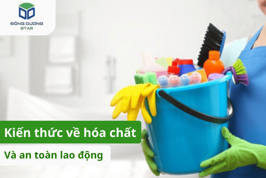 Dịch vụ vệ sinh chuyên nghiệp