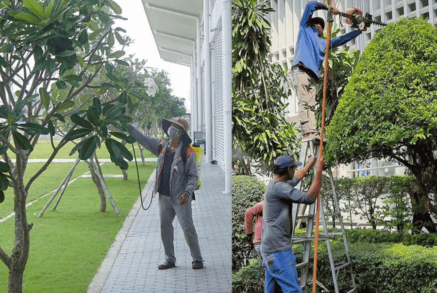 dịch vụ bảo dưỡng sân vườn