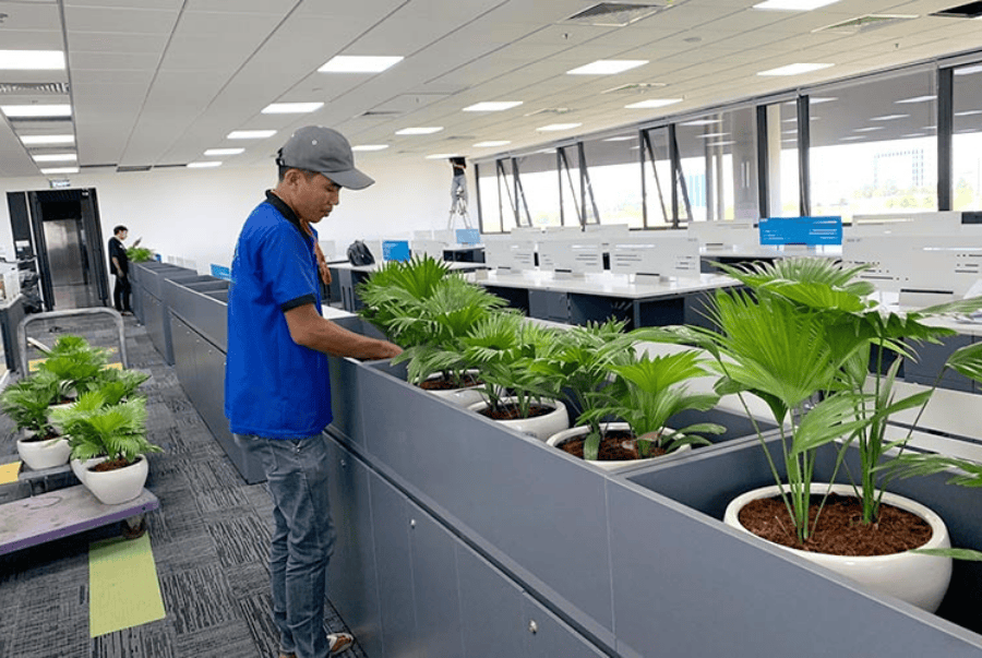 Giải Pháp Vệ Sinh & Cây Xanh Toàn Diện