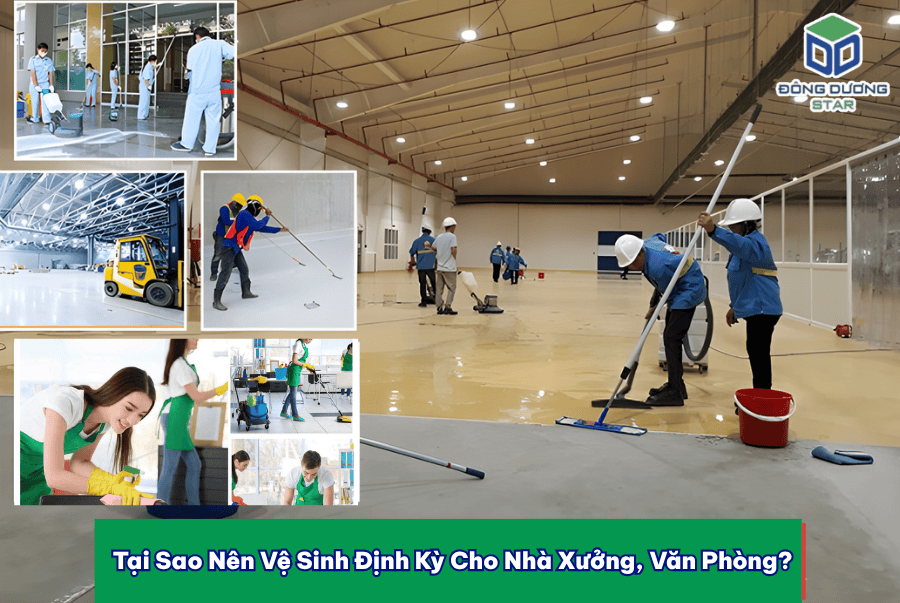 Tại Sao Nên Vệ Sinh Định Kỳ Cho Nhà Xưởng, Văn Phòng?