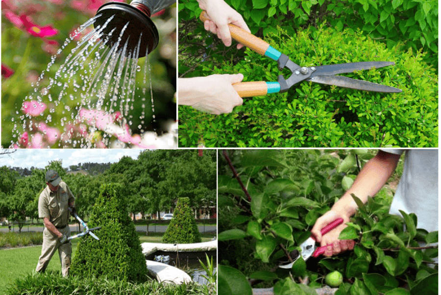 dịch vụ bảo dưỡng sân vườn